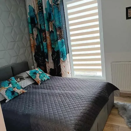 Apartment 3 *